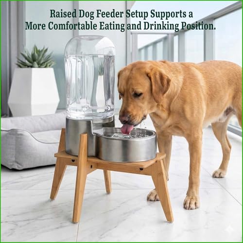Dog Water and Food Dispenser Stand for Large Dogs (Large (Rectangular) / Bamboo-DL)