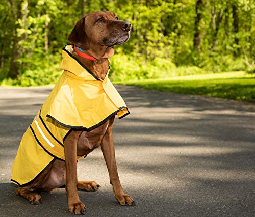 SPOT Rainy Days Slicker (X-Small)