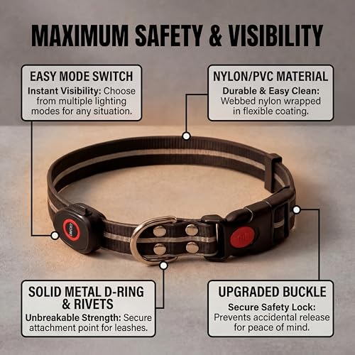 LED Dog Collar & 4 Foot Leash (Black)