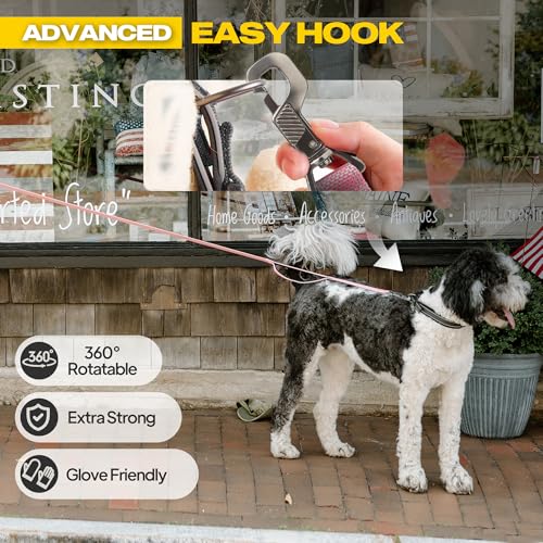 10 FT Heavy Duty Dog Leash (10 Feet (Pack of 1) / Pink)