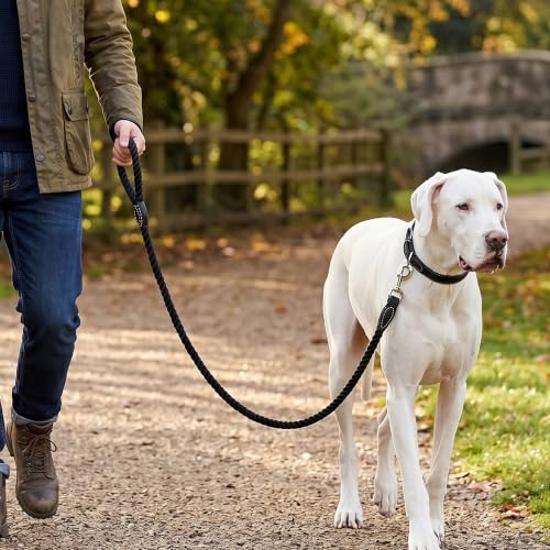 Dog Leash Braided Cotton Rope with Leather (Black / 48 Inch-1/2")