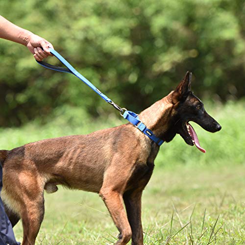Short Dog Leash 18" (Bright Blue / 18 Inches)