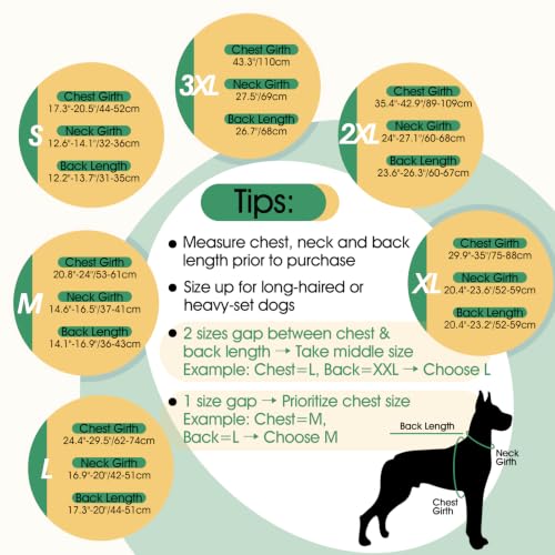 Waterproof Dog Jacket with Hood (Green / X-Large)