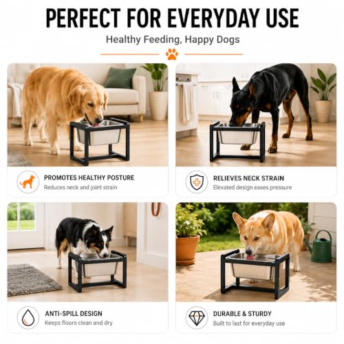 Adjustable Height Elevated Large Dog Water Bowls with Stainless Steel Bowls and Metal Stand (2.4GLLON)