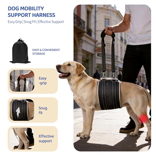 Adjustable Dog Lift Harness (Black03)