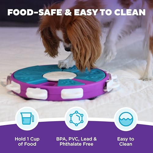 Nina Ottosson Dog Twister Dog Toy Treat Puzzle (Dog Twister (Purple, Blue) / 1 Count (Pack of 1))