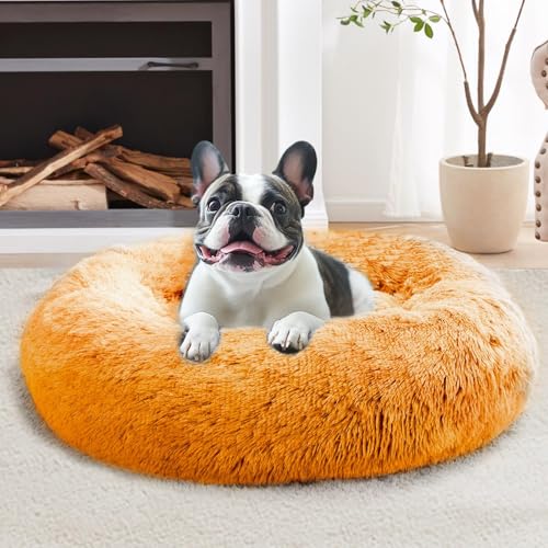 Calming Small Dog & Cat Bed for Indoor Cats (Orange / 20.0"L x 20.0"W x 6.0"Th)