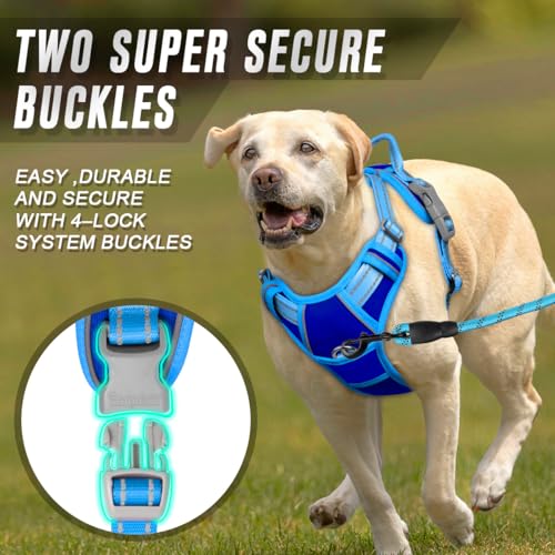 Dog Harness No Pull for Medium Sized Dog Front Back Clips (Medium(Chest:22.5-28") / Sapphire Blue & Blue)