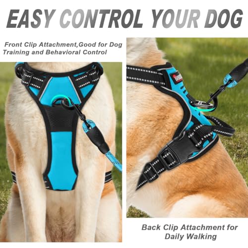 Dog Harness No Pull for Large Dogs Front Back Clips (Large(Chest:24.5-32.5") / Blue)