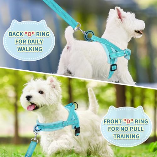 No Pull Small Dog Harness and Leash Set with Front Clip (Small / Teal)