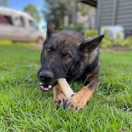Power Chew Textured Bone Dog Chew Toy (X-Large)