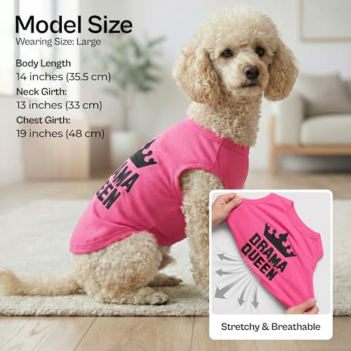 2 Pack Dog Shirts (Large / Diva + Drama Queen)