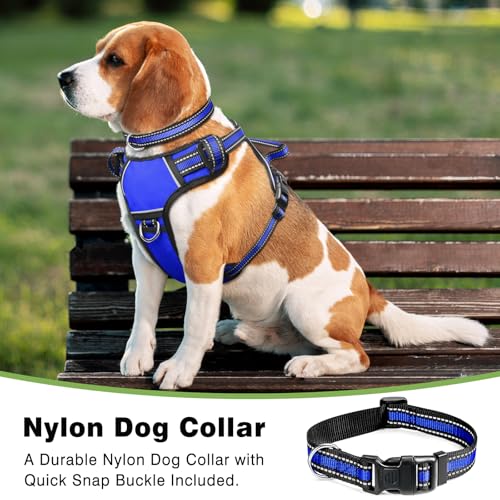 Dog Harness No Pull (Medium / Blue)
