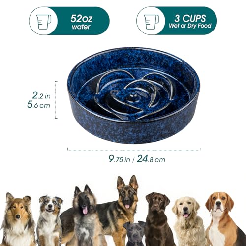 Slow Feeder Dog Bowl (L - 3 Cups / Blue)