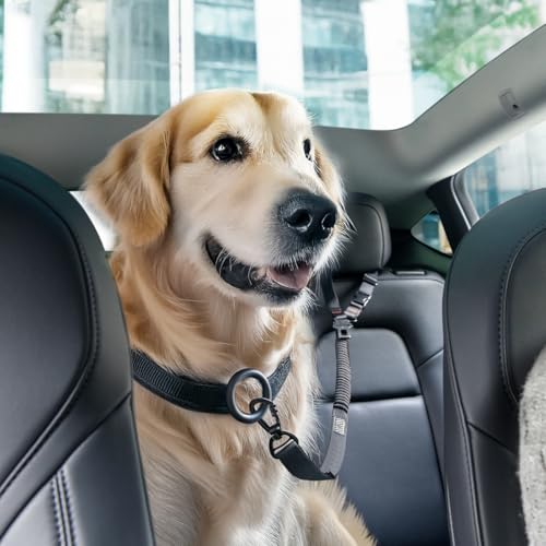 2 in 1 Car Seat Belt Tether for Dogs