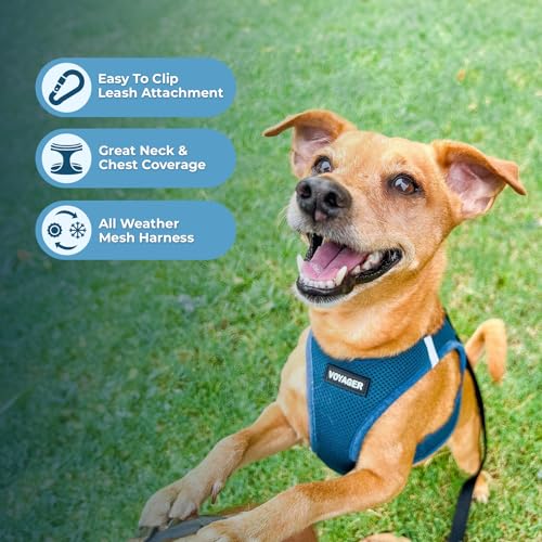 Voyager Step in Air All Weather Mesh Harness and Reflective Dog 5ft Leash Combo with Neoprene Handle (Harness Leash Set (Turquoise) / XS (Chest: 13 - 14.5"))