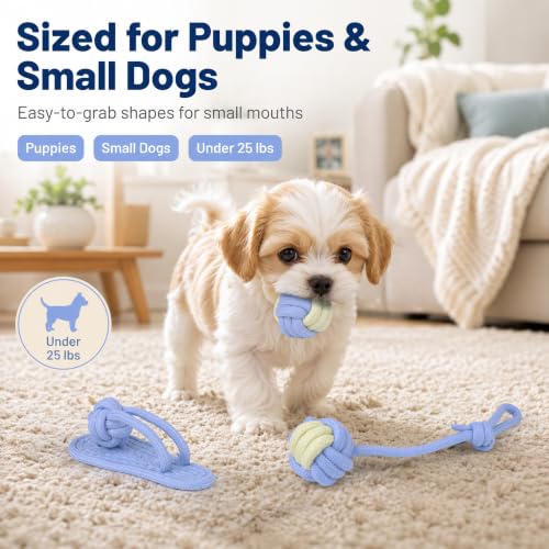 Dog Rope Toys for Puppies & Small Dogs (Blue)