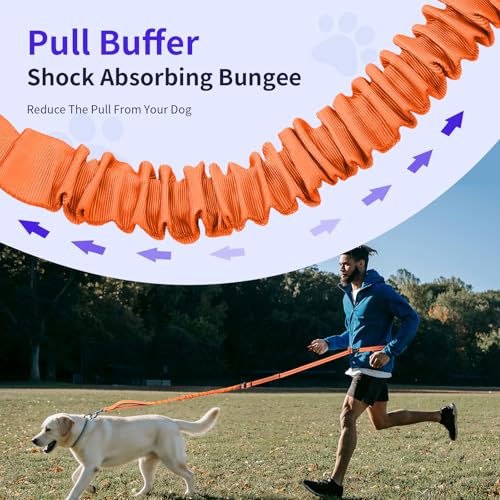 Hands Free Dog Leash by Kazazoo (ORANGE Bungee / M)