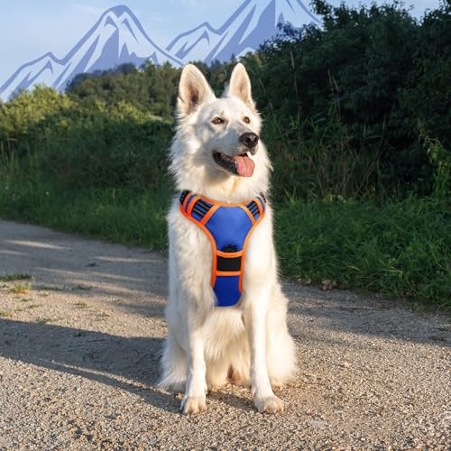 Dog Harness for Large Dogs (X-large / Blue & Orange)