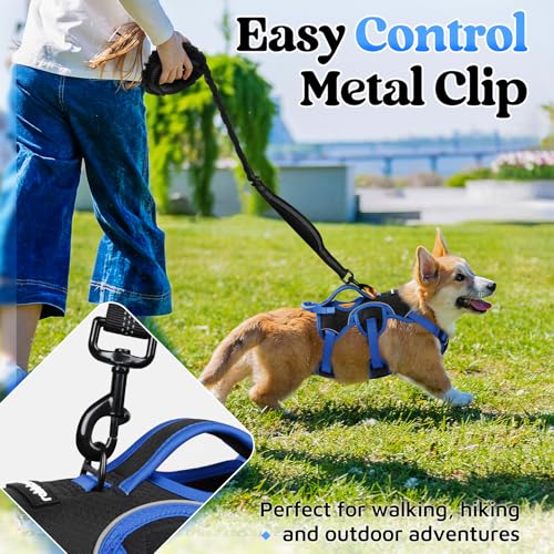 Escape Proof Dog Harness for Small (Blue & Black / Small)