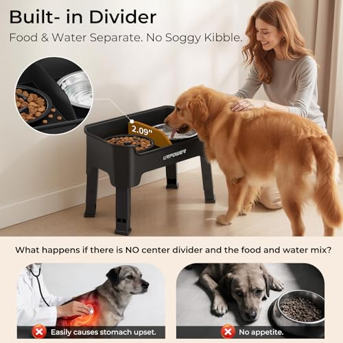 Mess Proof Elevated Dog Bowls (Matte Black / Large)
