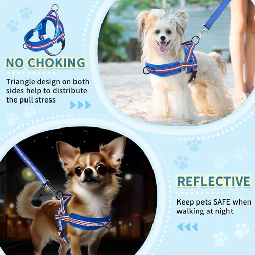 No Pull Small Dog Harness and Leash Set with Front Clip (XX-Small / Dark Blue)