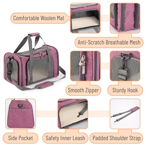 Pet Carrier 17.5" x 11.2" x 11.5" (Pink)