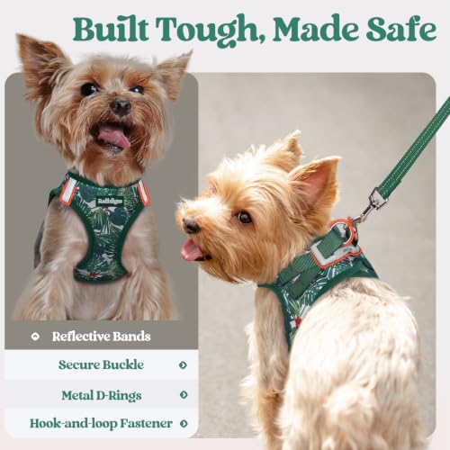 Dog Harness Medium Sized and Leash Set (Rainforest Green / M (chest: 16 - 18.5"))
