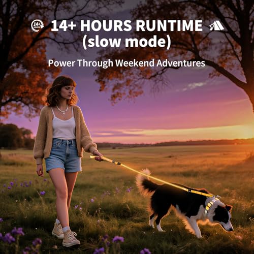 LED Dog Leash (Orange / 6 feet)