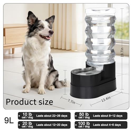9L Elevated Dog Waterer (9L / Classic Black)