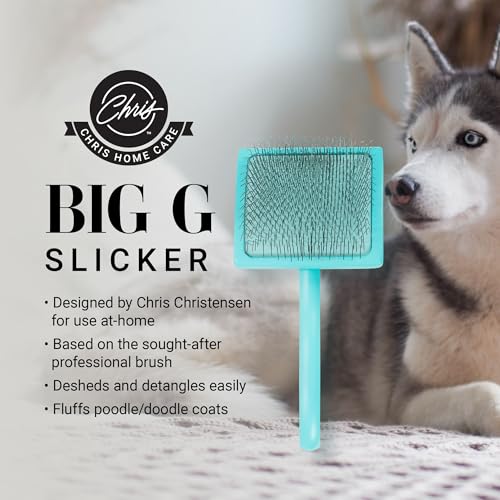 Big G Dog Slicker Brush for Dogs (Large / Teal)
