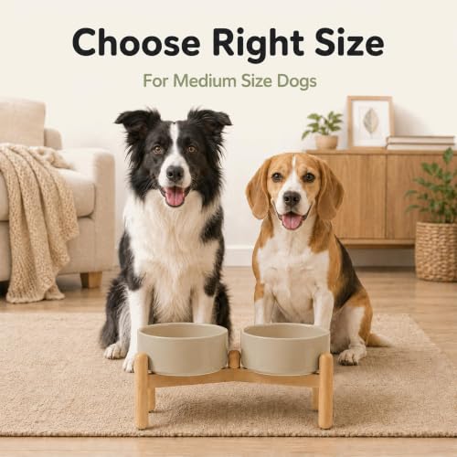 Ceramic Dog Bowls Elevated (Greige)