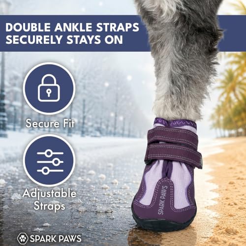 365 Dog Shoes (365 Purple / Size 3: 2"x2.36"(W*L) (Pack of 4))