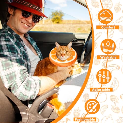 Cat Cone Collar Soft (Orange / Large)