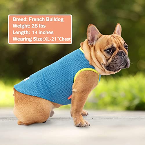 2Pack Dog Shirt for Small Dogs Soft Breathable T (Large (13-19lbs) / 5# Blue+Grey)