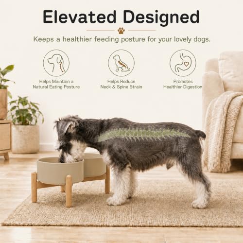 Ceramic Dog Bowls Elevated (Greige)
