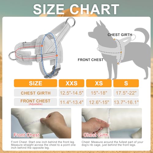 Small Dog Harness and Leash Set (Light pink / XXS: Chest 12.5"-15")