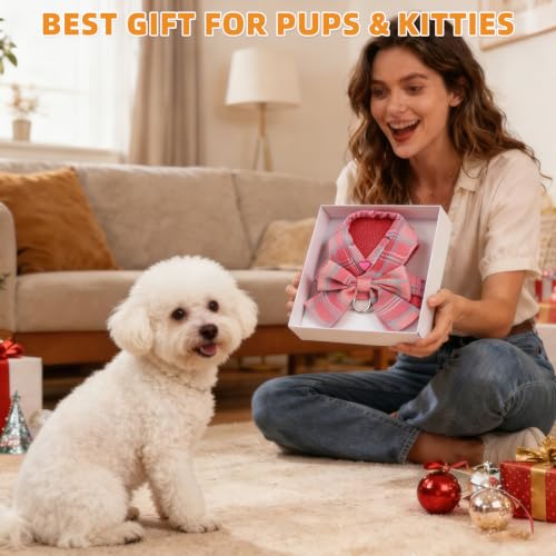Small Dog Harness and Leash Set (PINK / S (Chest Girth: 13.8"-15.7"))