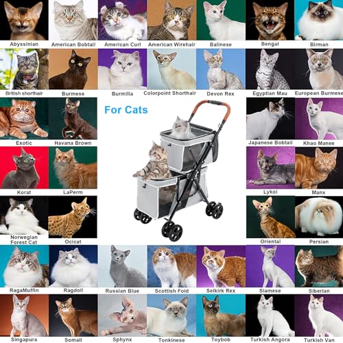 Double Pet Stroller for 2 Dogs & Cats (Gray)