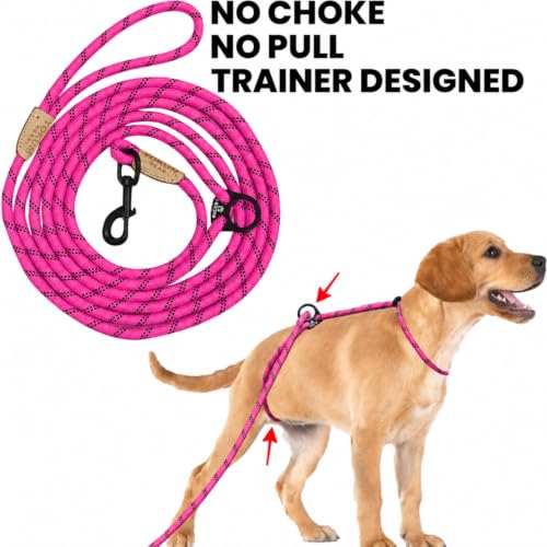 12ft No Pull No Choke Leash Long Rope Dog Leash (12 Ft / HOT PINK)