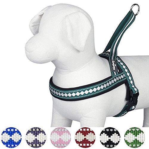 6 Colors Soft & Comfy Jacquard Padded Dog Harness (Medium(21.5" - 27.5") Chest Girth / Teal Blue)