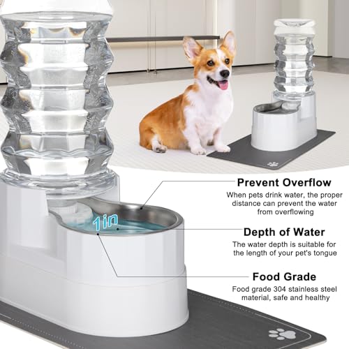 8L Elevated Dog Water Dispenser (8L / Bright White)