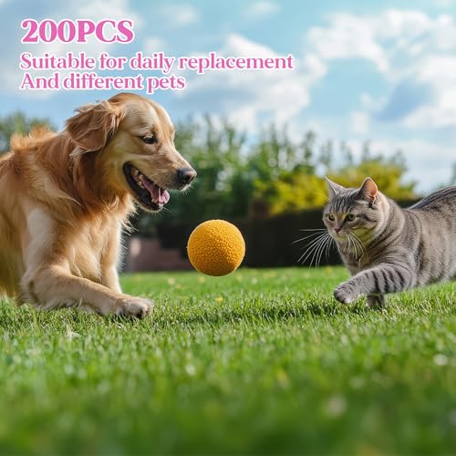 200Pcs Dog Toothbrushes (200pcs-8 Colors)