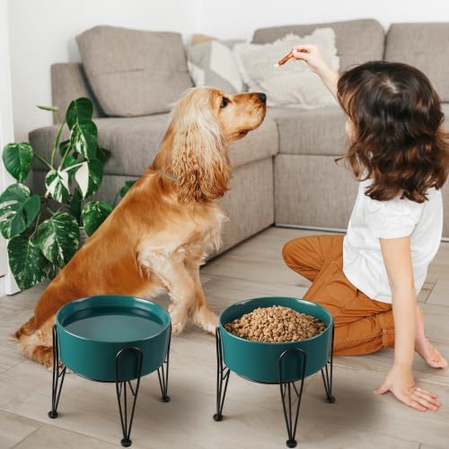 Elevated Dog Bowls (Green / 7.6 Cups | 2 Pack | For Large Dogs)