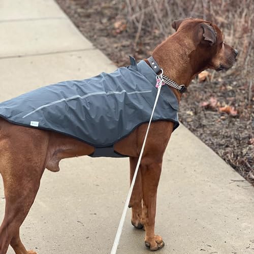 Dog Raincoat Adjustable Waterproof Reflective Rain Jacket for Small Medium Large Dogs (L Chest 32"-40" / Dark Gray)