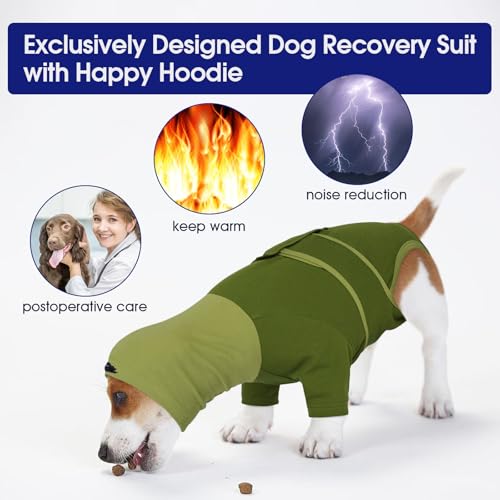 Dog Surgery Suit Female Spay (X-Small / New Version- Green)