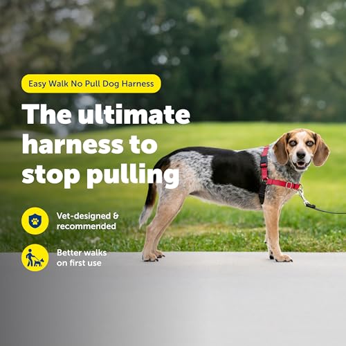 Easy Walk Harness (Small/Medium / Red/Black)