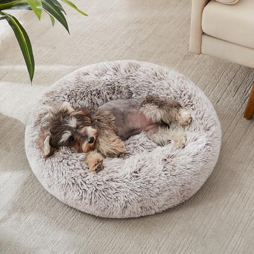 Western Home Calming Donut Small Dog Cat Bed Washable Puppy Bed (White Khaki / 24.0"l x 24.0"w x 7.0"th)