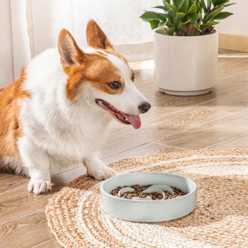 Slow Feeder Dog Bowl (M - 1.5 Cups / Grayish Cyan)