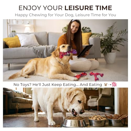 3 Pack Beef Flavored Dog Chew Toys for Aggressive Chewers (3PC-Beef-Red)